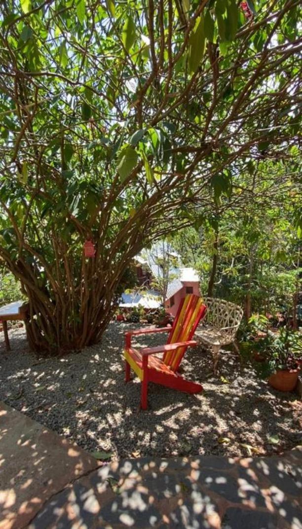El Campo En Jarabacoa Villa Exteriör bild