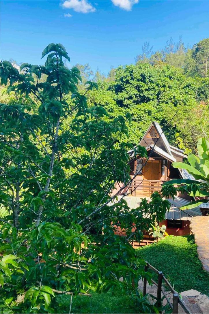 El Campo En Jarabacoa Villa Exteriör bild